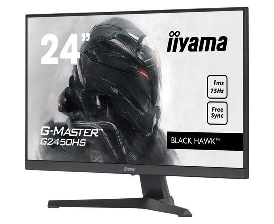 Монитор iiyama G2450HS-B1, изображение 4 Монитор iiyama G2450HS-B1, изображение 4