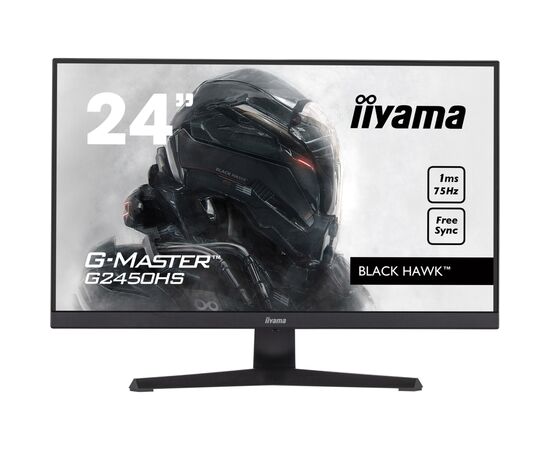 Монитор iiyama G2450HS-B1