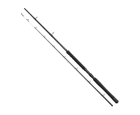 Удилище DAM Hard Core Vol.3 Planer 2.40 м 2 сек. 20-35 LB (64864)