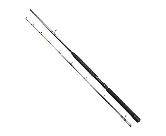 Удилище DAM Salmonizer Trolling 2.10 м 2 сек. 12-25 LB (64861)