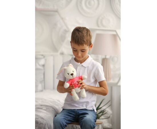 Мягкая игрушка Tigres Зайка Джесси merci (ЗА-0059), изображение 2 Мягкая игрушка Tigres Зайка Джесси merci (ЗА-0059), изображение 2