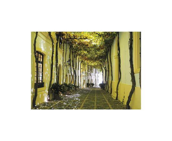 Пазл Piatnik Андалузская аллея, 1000 элементов (PT-558344), изображение 2 Пазл Piatnik Андалузская аллея, 1000 элементов (PT-558344), изображение 2