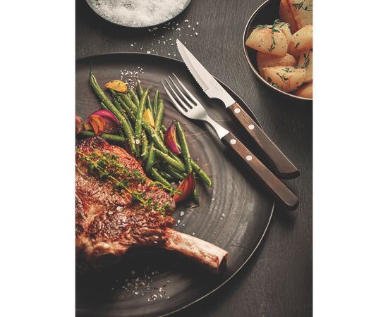 Набор столовых приборов Tramontina Barbecue Polywood 12 предметів горіх (21199/909), изображение 3 Набор столовых приборов Tramontina Barbecue Polywood 12 предметів горіх (21199/909), изображение 3