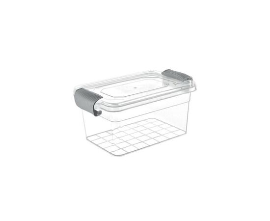 Харчовий контейнер Violet House Family Box Grey 1 л (0461 FAMILY BOX прям. 1 л)