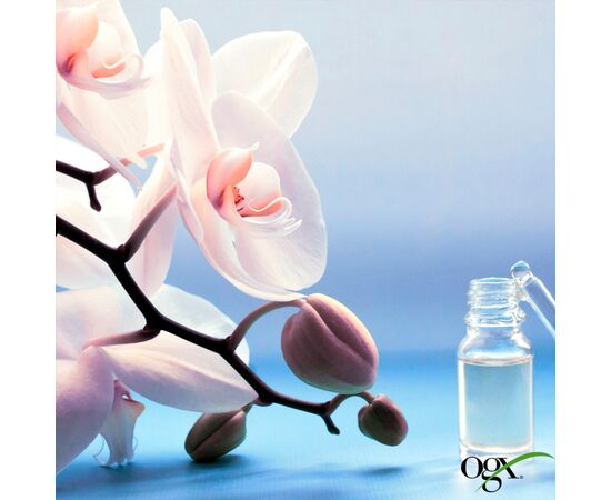 Шампунь OGX Orchid Oil для защиты цвета окрашенных волос 385 мл (0022796972408), изображение 7 Шампунь OGX Orchid Oil для защиты цвета окрашенных волос 385 мл (0022796972408), изображение 7