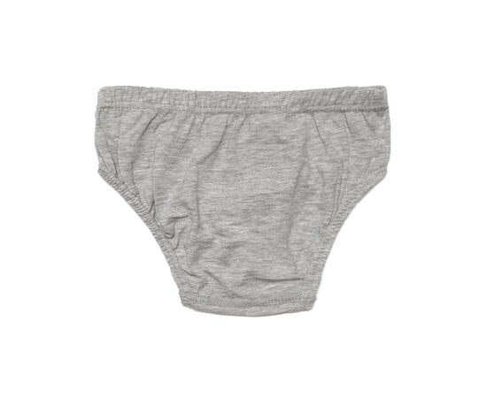 Трусы BiyoKids с акулой (2527-128B-gray), изображение 2 Трусы BiyoKids с акулой (2527-128B-gray), изображение 2
