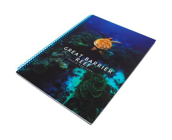 Блокнот Optima World: Reef А4 пластиковая обложка, спираль 80 листов, клетка (O20846-23), изображение 2 Блокнот Optima World: Reef А4 пластиковая обложка, спираль 80 листов, клетка (O20846-23), изображение 2