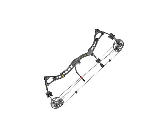 Лук Poe Lang Axis 30-70 LBS Black (для шульги) (C0-039LBP)