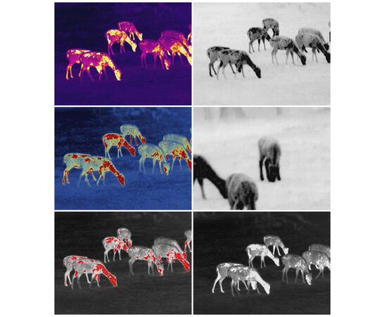 Монокуляр Guide Тепловізійний TrackIR 35mm 400x300px (747106), зображення 7