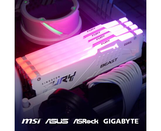 Модуль памяти для компьютера DDR5 16GB 6000 MHz Beast RGB EXPO White Kingston Fury (ex.HyperX) (KF560C36BWEA-16), изображение 5 Модуль памяти для компьютера DDR5 16GB 6000 MHz Beast RGB EXPO White Kingston Fury (ex.HyperX) (KF560C36BWEA-16), изображение 5