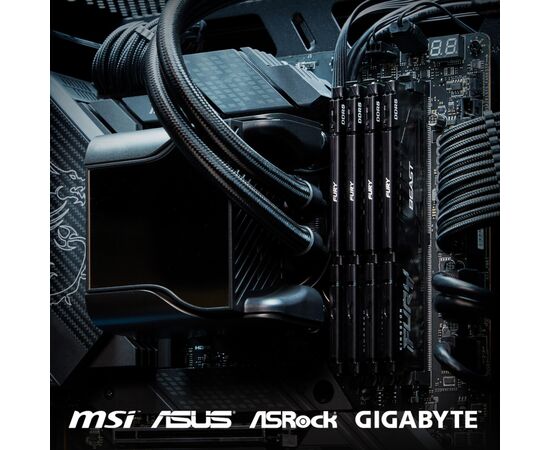 Модуль памяти для компьютера DDR5 64GB (2x32GB) 5200 MHz Beast Black Kingston Fury (ex.HyperX) (KF552C36BBEK2-64), изображение 10 Модуль памяти для компьютера DDR5 64GB (2x32GB) 5200 MHz Beast Black Kingston Fury (ex.HyperX) (KF552C36BBEK2-64), изображение 10