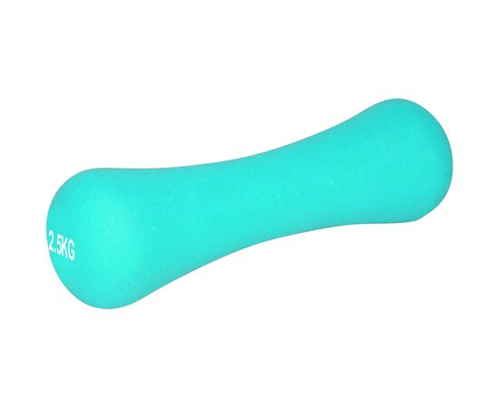Гантель PowerPlay 4126 Spartacus 2.5 кг М'ятна (PP_4126_2,5kg)