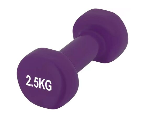 Гантель PowerPlay 4125 Achilles 2.5 кг Фіолетова (PP_4125_2.5kg)