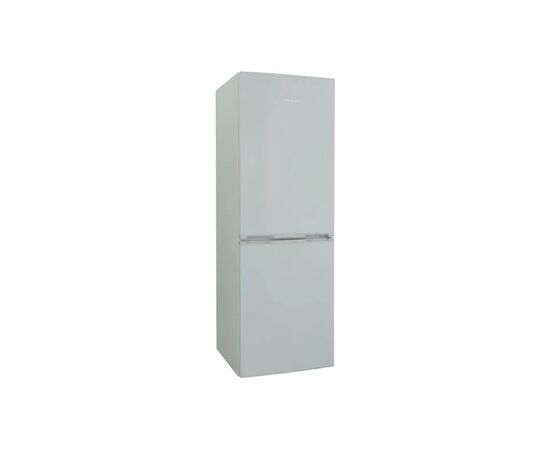 Холодильник Snaige RF53SM-S5MP2E, изображение 2 Холодильник Snaige RF53SM-S5MP2E, изображение 2