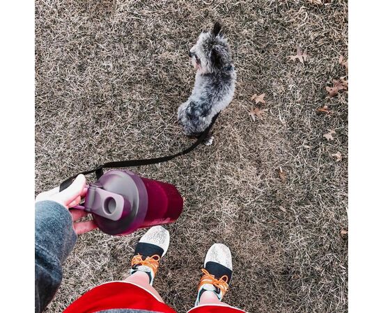 Шейкер спортивный BlenderBottle Classic Loop 20oz/590ml Plum (Loop 20 Plum), изображение 2