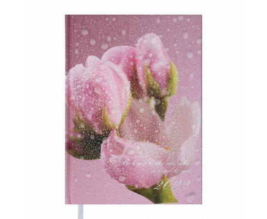 Тижневик Buromax датований Posh A5 на 336 сторінок Рожевий (BM.2118-10)