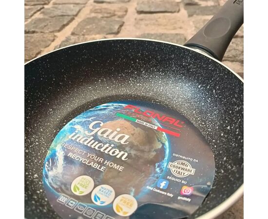 Сковорода Flonal Gaia 26 см (GMGPB2690), изображение 6 Сковорода Flonal Gaia 26 см (GMGPB2690), изображение 6