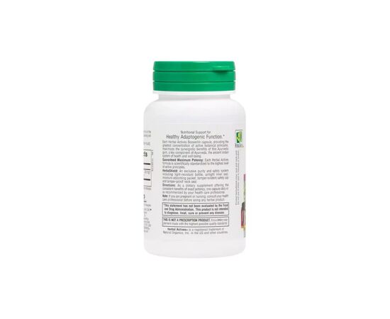 Травы Natures Plus Босвелин, 300 мг, Boswellin, Herbal Actives, 60 Вегетарианских Капсул (NAP-07124), изображение 3 Травы Natures Plus Босвелин, 300 мг, Boswellin, Herbal Actives, 60 Вегетарианских Капсул (NAP-07124), изображение 3