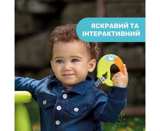 Прорезыватель Chicco Тукан Салатовый (28160.30), изображение 2 Прорезыватель Chicco Тукан Салатовый (28160.30), изображение 2