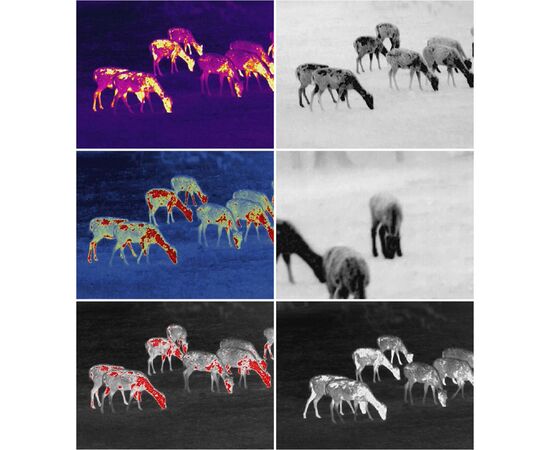 Монокуляр Guide Тепловізійний TrackIR Pro 35mm 640x480px (747110), изображение 7 Монокуляр Guide Тепловізійний TrackIR Pro 35mm 640x480px (747110), изображение 7