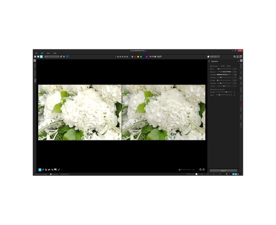 ПО для мультимедиа Corel AfterShot Pro 3 ML EN/DE Windows/Mac/Linux (ESDASP3MLPC), зображення 2 ПО для мультимедиа Corel AfterShot Pro 3 ML EN/DE Windows/Mac/Linux (ESDASP3MLPC), зображення 2