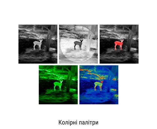 Тепловізійний приціл Guide TS435 400x300px 35mm (747118), зображення 9 Тепловізійний приціл Guide TS435 400x300px 35mm (747118), зображення 9