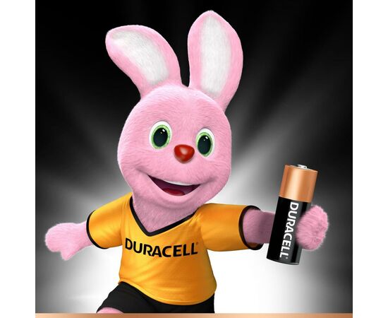 Батарейка Duracell AA MN1500 LR06 (плакат 2*6) * 12 (5007439), изображение 2 Батарейка Duracell AA MN1500 LR06 (плакат 2*6) * 12 (5007439), изображение 2