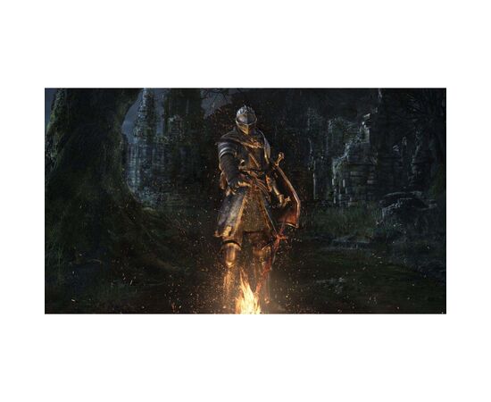 Игра Sony Dark Souls Trilogy, BD диск [PS4] (3391892003635), изображение 5