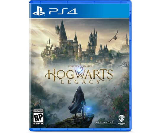 Гра Sony Hogwarts Legacy, BD диск (5051895413418)