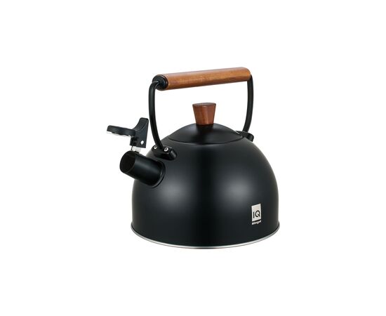 Чайник Ringel IQ Вe Natural 2.5 л (IQ-1001), изображение 2 Чайник Ringel IQ Вe Natural 2.5 л (IQ-1001), изображение 2