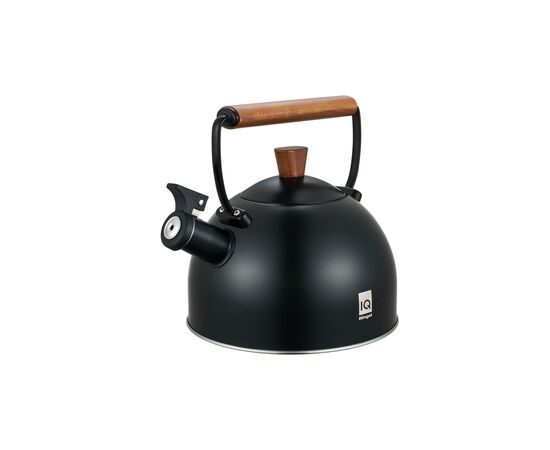 Чайник Ringel IQ Вe Natural 2.5 л (IQ-1001), изображение 3 Чайник Ringel IQ Вe Natural 2.5 л (IQ-1001), изображение 3