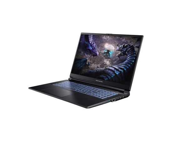 Ноутбук Dream Machines G1650-17 (G1650-17UA96), изображение 2