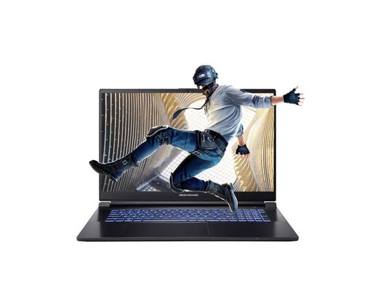 Ноутбук Dream Machines RG3050-17 (RG3050-17UA51)