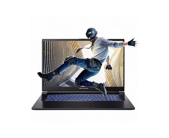 Ноутбук Dream Machines RG3050-17 (RG3050-17UA55)