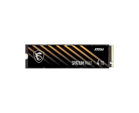 Накопитель SSD M.2 2280 4TB M461 MSI (S78-440R030-P83)