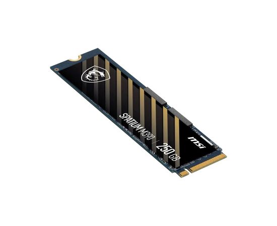 Накопитель SSD M.2 2280 250GB Spatium M390 MSI (S78-4409PY0-P83), изображение 4 Накопитель SSD M.2 2280 250GB Spatium M390 MSI (S78-4409PY0-P83), изображение 4