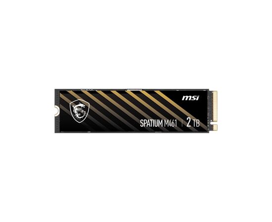 Накопитель SSD M.2 2280 2TB M461 MSI (S78-440Q550-P83)