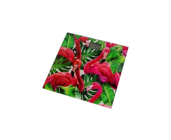 Весы напольные Rotex RSB06-P, изображение 2 Весы напольные Rotex RSB06-P, изображение 2