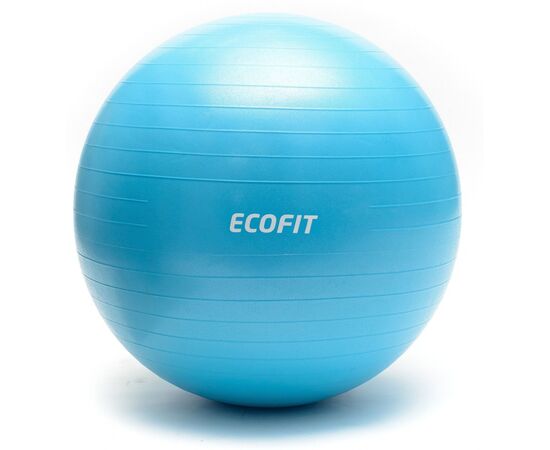Мяч для фитнеса Ecofit MD1225 65см/1100 гр (К00015205)