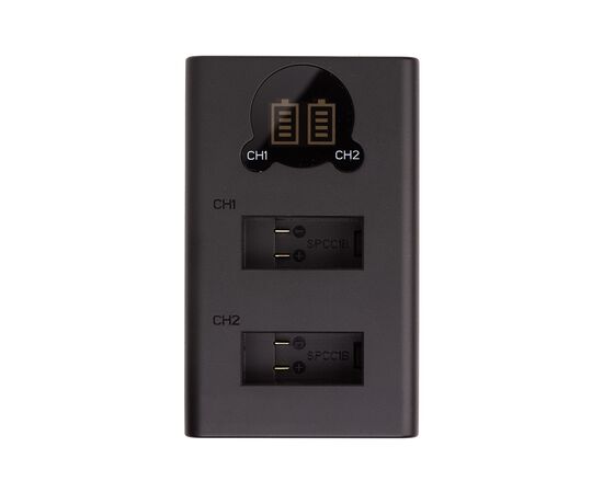 Зарядное устройство для фото PowerPlant GoPro SPCC1B with display 2 slots (CH980253)