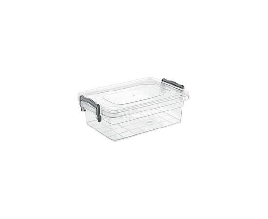 Пищевой контейнер Violet House Family Box 650 мл (0458 FAMILY BOX прям. 650 мл)