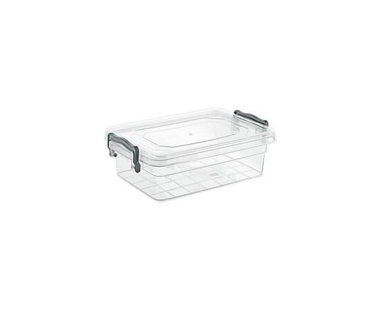 Харчовий контейнер Violet House Family Box 1.3 л Clear (0462 FAMILY BOX прям. 1.3 л)