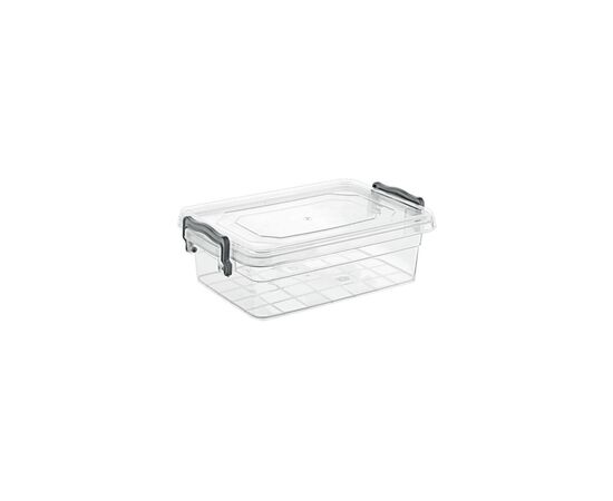 Пищевой контейнер Violet House Family Box 2.2 л Clear (0464 FAMILY BOX прям. 2.2 л)