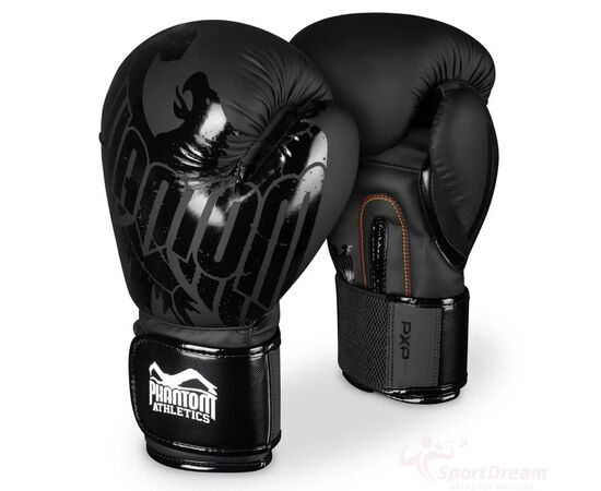 Боксерские перчатки Phantom Germany Eagle Black 16oz (PHBG2323-16)