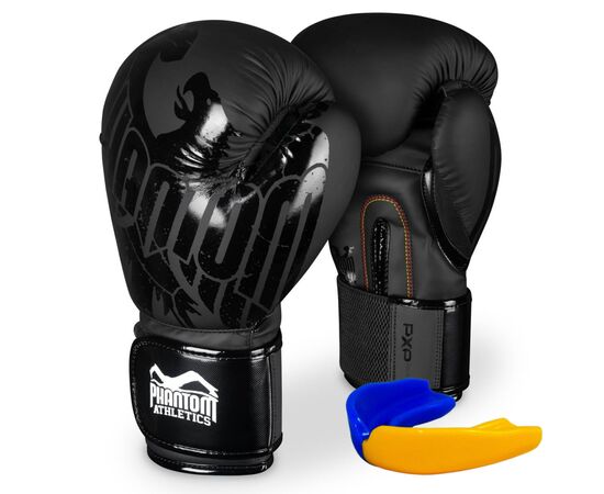 Боксерские перчатки Phantom Germany Eagle Black 10oz (PHBG2323-10)