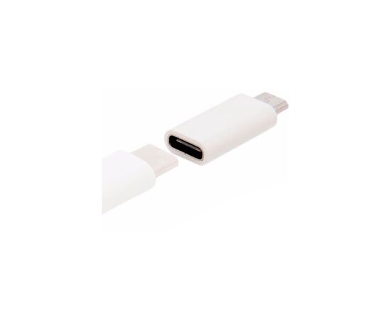 Переходник Lapara Micro USB Male to USB 3.1 Type-C Female white (LA-MaleMicroUSB-TypeC-Female white), изображение 2 Переходник Lapara Micro USB Male to USB 3.1 Type-C Female white (LA-MaleMicroUSB-TypeC-Female white), изображение 2