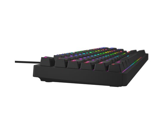 Клавиатура Hator Rockfall 2 Mecha TKL Orange USB Black (HTK-720), изображение 4 Клавиатура Hator Rockfall 2 Mecha TKL Orange USB Black (HTK-720), изображение 4