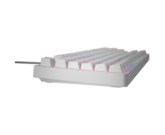 Клавиатура Hator Rockfall 2 Mecha TKL Orange USB White (HTK-721), изображение 4 Клавиатура Hator Rockfall 2 Mecha TKL Orange USB White (HTK-721), изображение 4
