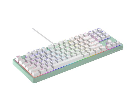 Клавиатура Hator Rockfall 2 Mecha TKL Orange USB Mint (HTK-723), изображение 3 Клавиатура Hator Rockfall 2 Mecha TKL Orange USB Mint (HTK-723), изображение 3
