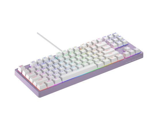 Клавиатура Hator Rockfall 2 Mecha TKL Orange USB Lilac (HTK-724), изображение 3 Клавиатура Hator Rockfall 2 Mecha TKL Orange USB Lilac (HTK-724), изображение 3